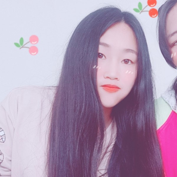 发呆的小海豚的照片