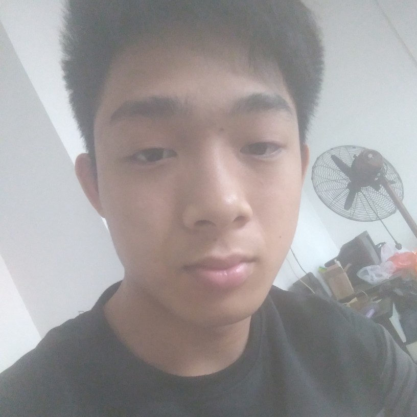 黑猫凝眸深情的照片
