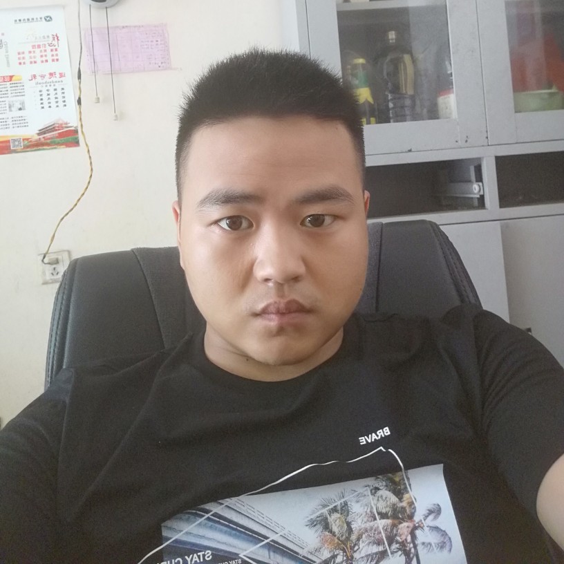 孤独打小海豚的照片