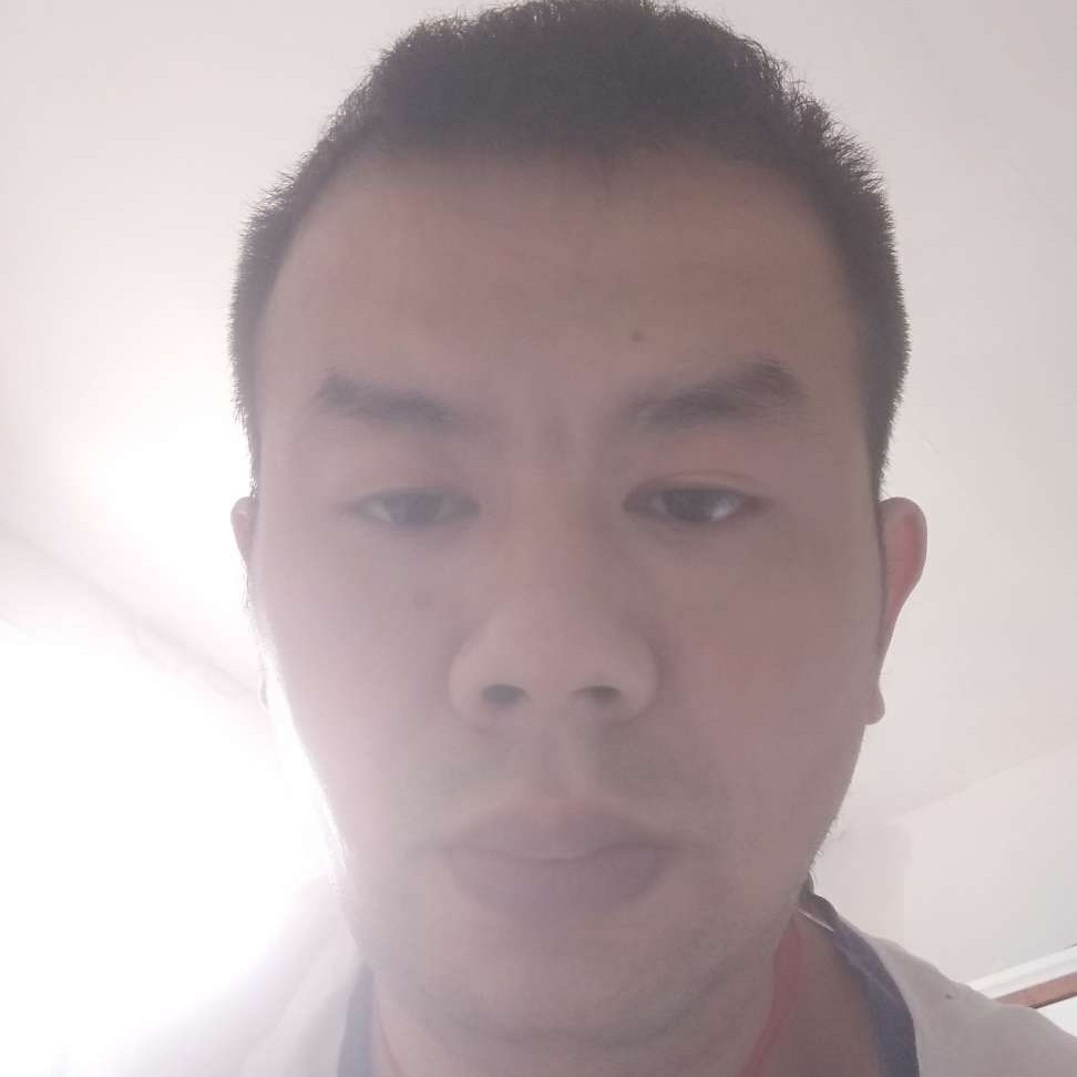 夏日阳光向日葵的照片