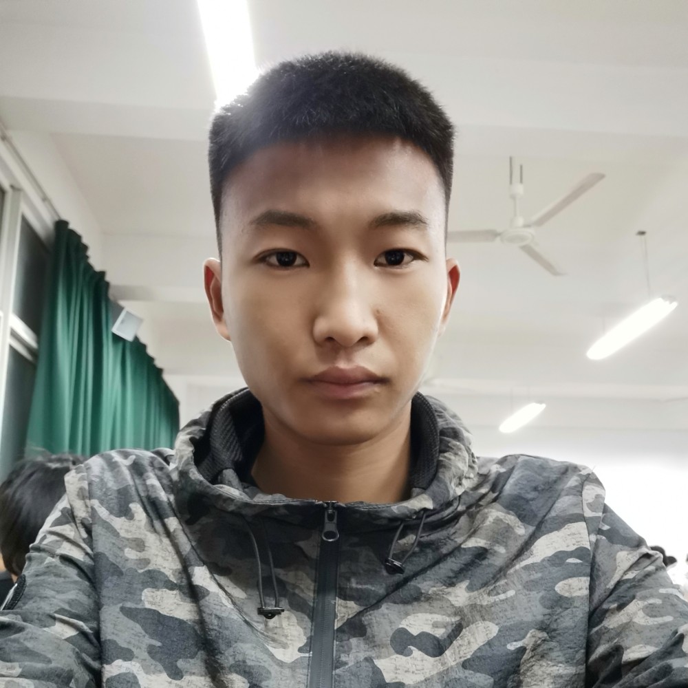 狗迷离的照片