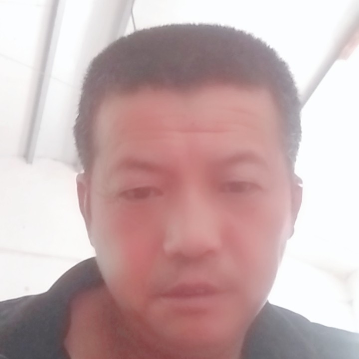 动人豌豆489的照片