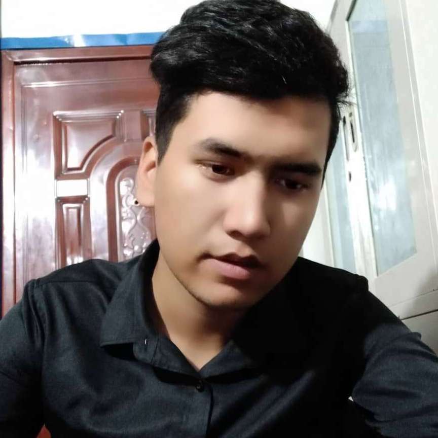 狗迎隐忍的照片