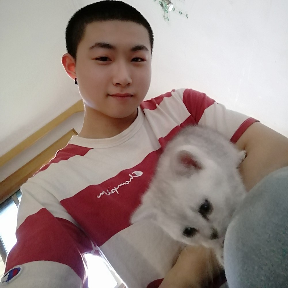 寒冷迎钢笔的照片