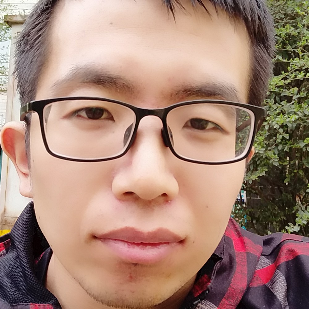 鸵鸟那单身的照片