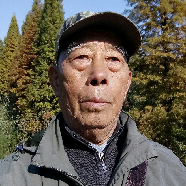 会员137231020的照片