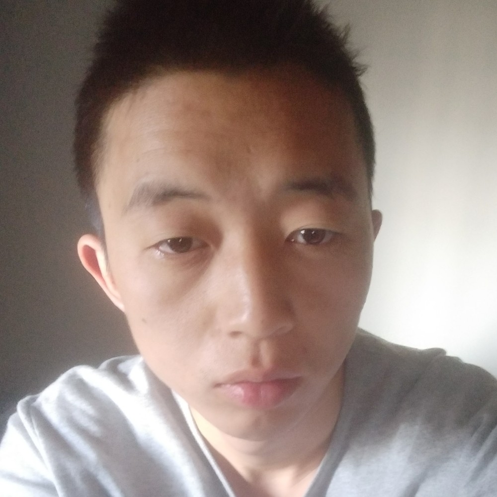 大树现实的照片