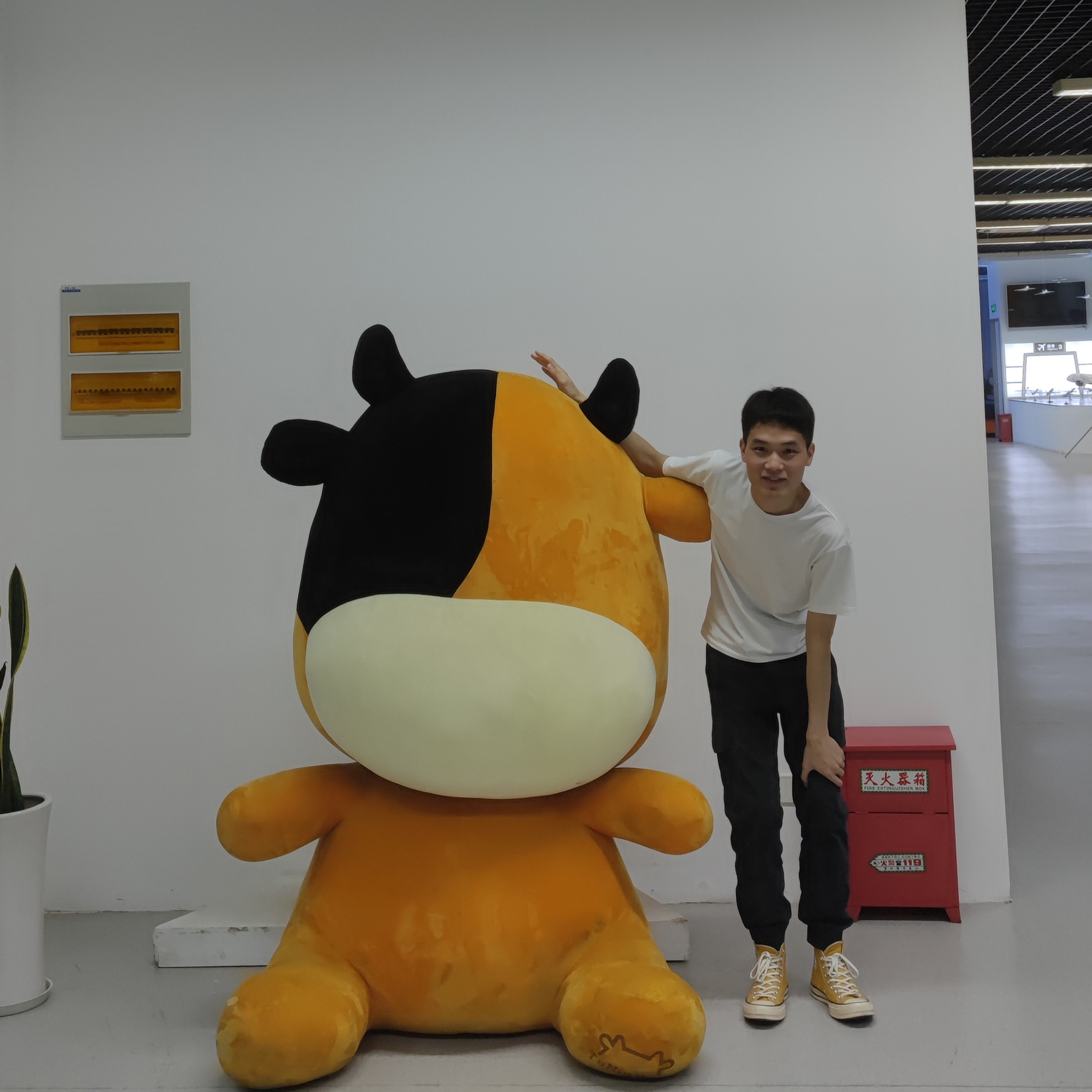 会员938390135的照片