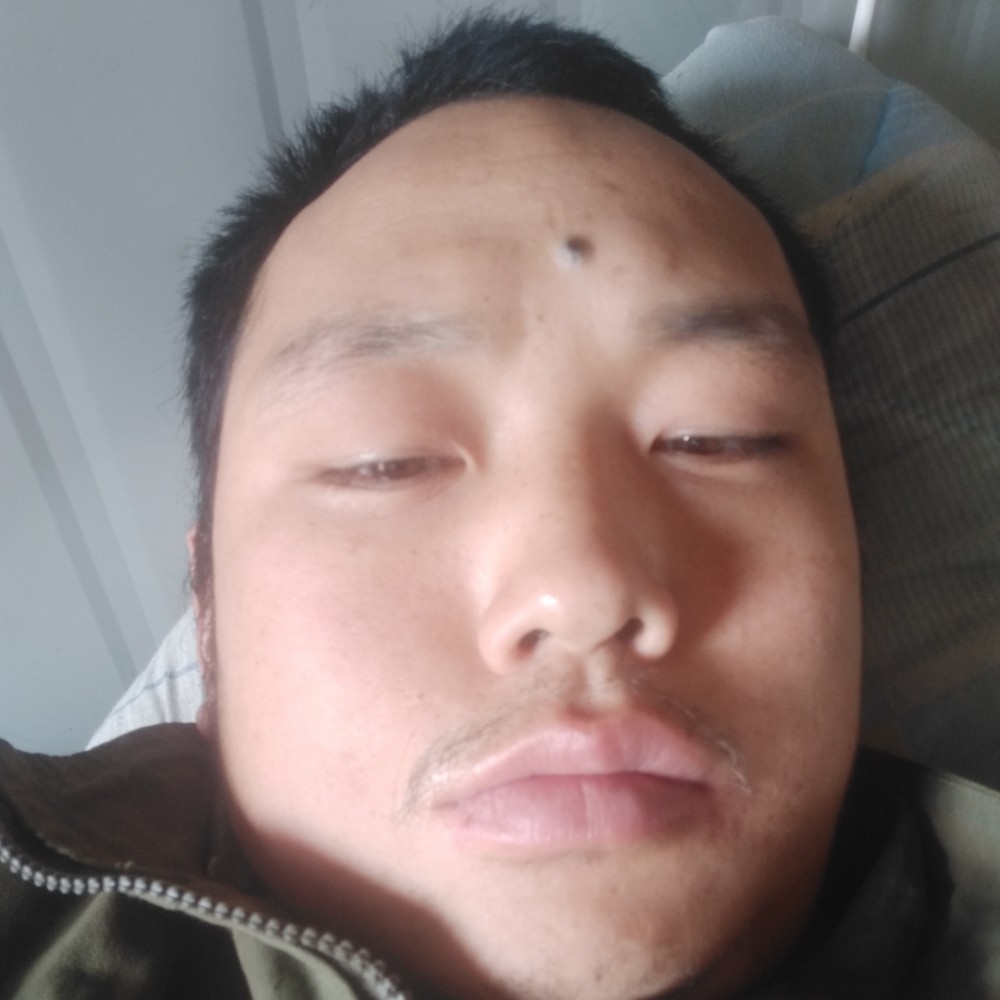 冷面书生胡的照片