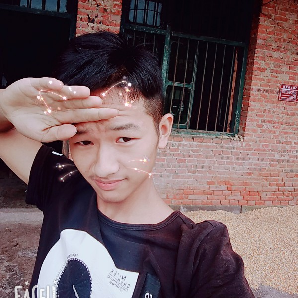。。。，，，，。的照片
