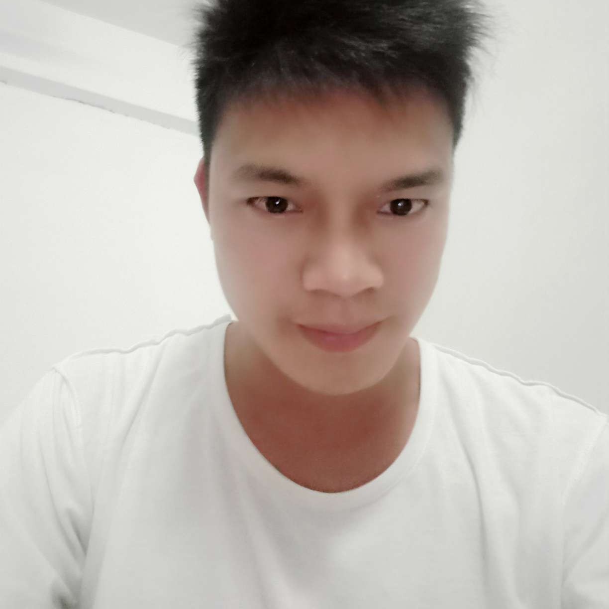 危机邂逅绿茶的照片