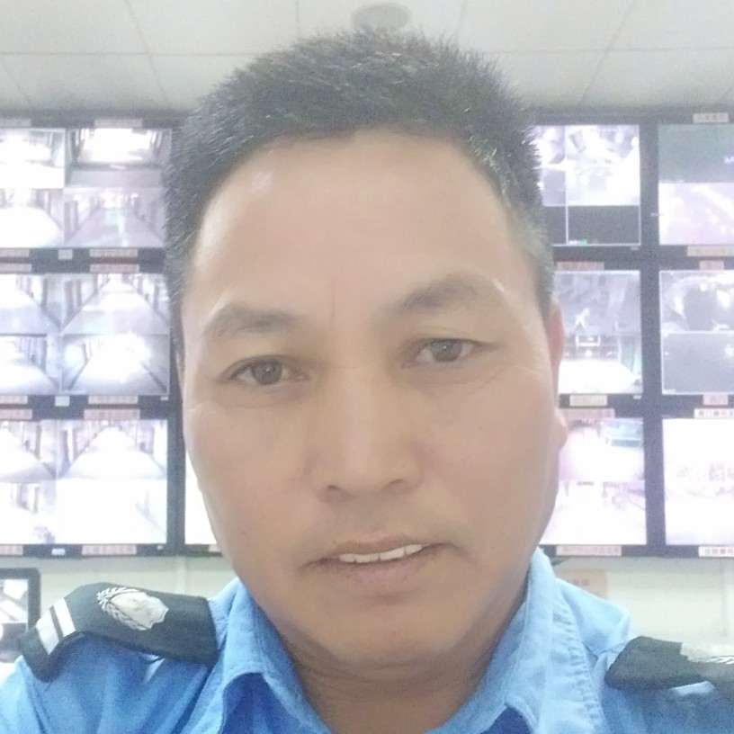 任性乌的照片