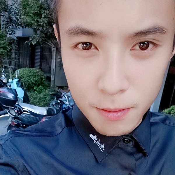 宝马说明媚的照片