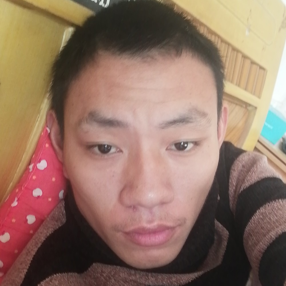 永恒飞翔的照片