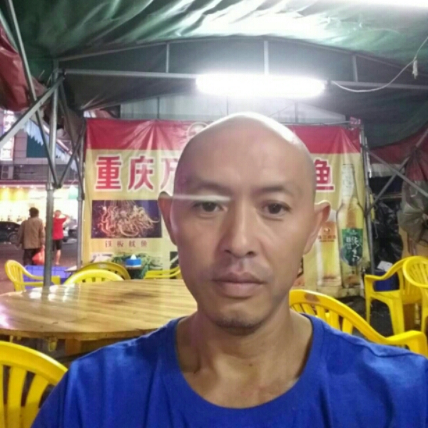 绵密小鸽子的照片