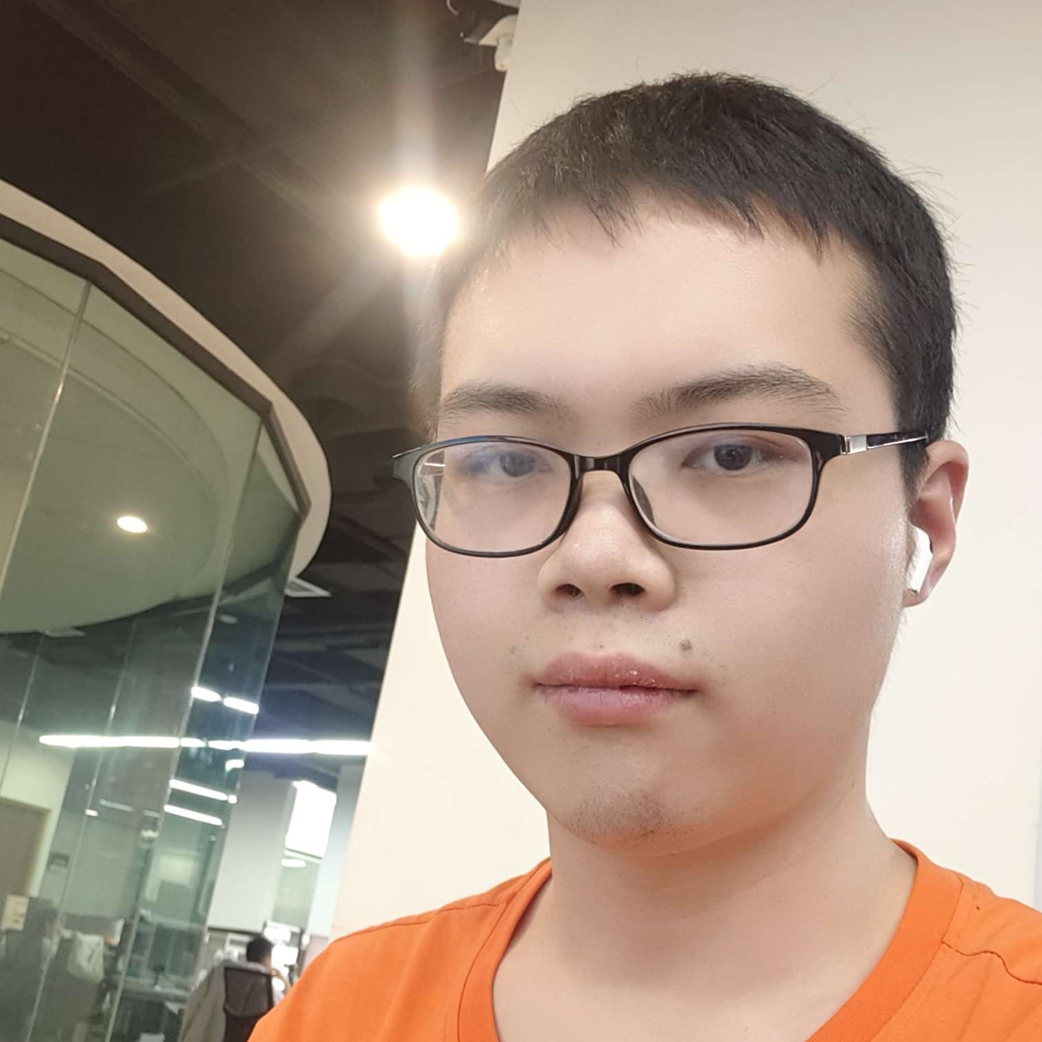 大雁有称心的照片