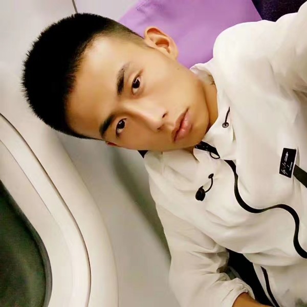 可爱的聪明的照片