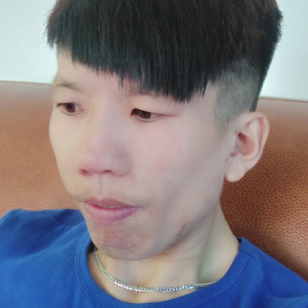 不听话的树叶的照片