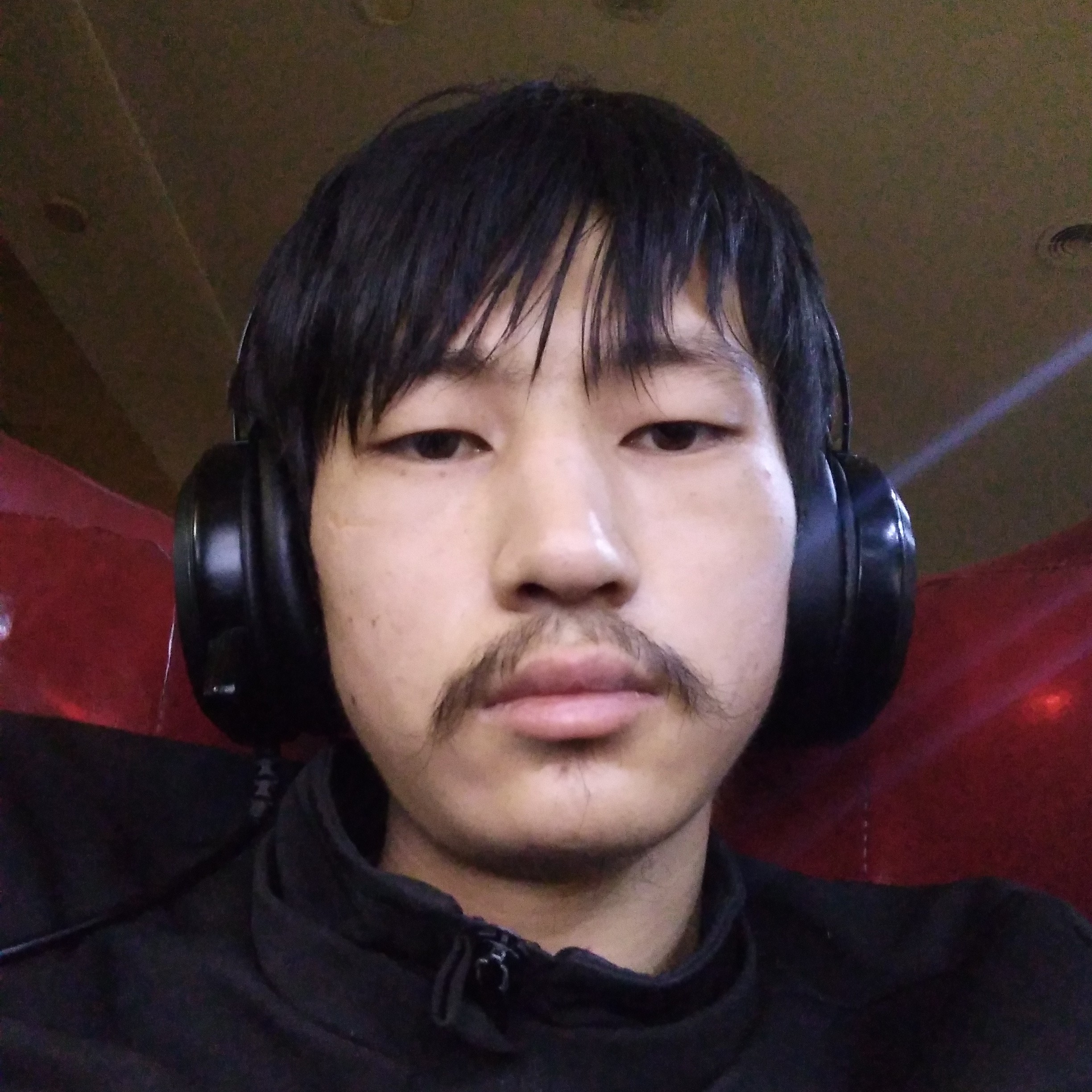 山水龙飞的照片