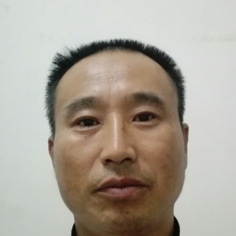 玫瑰外向的照片