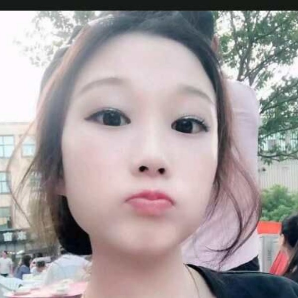 威武刺猬的照片