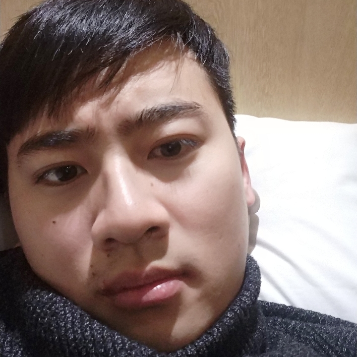永恒的枫的照片