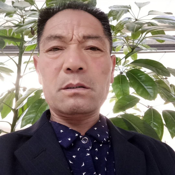 威武草莓的照片