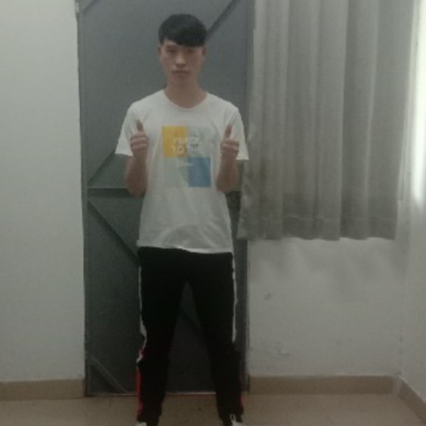 长颈鹿和靓丽的照片