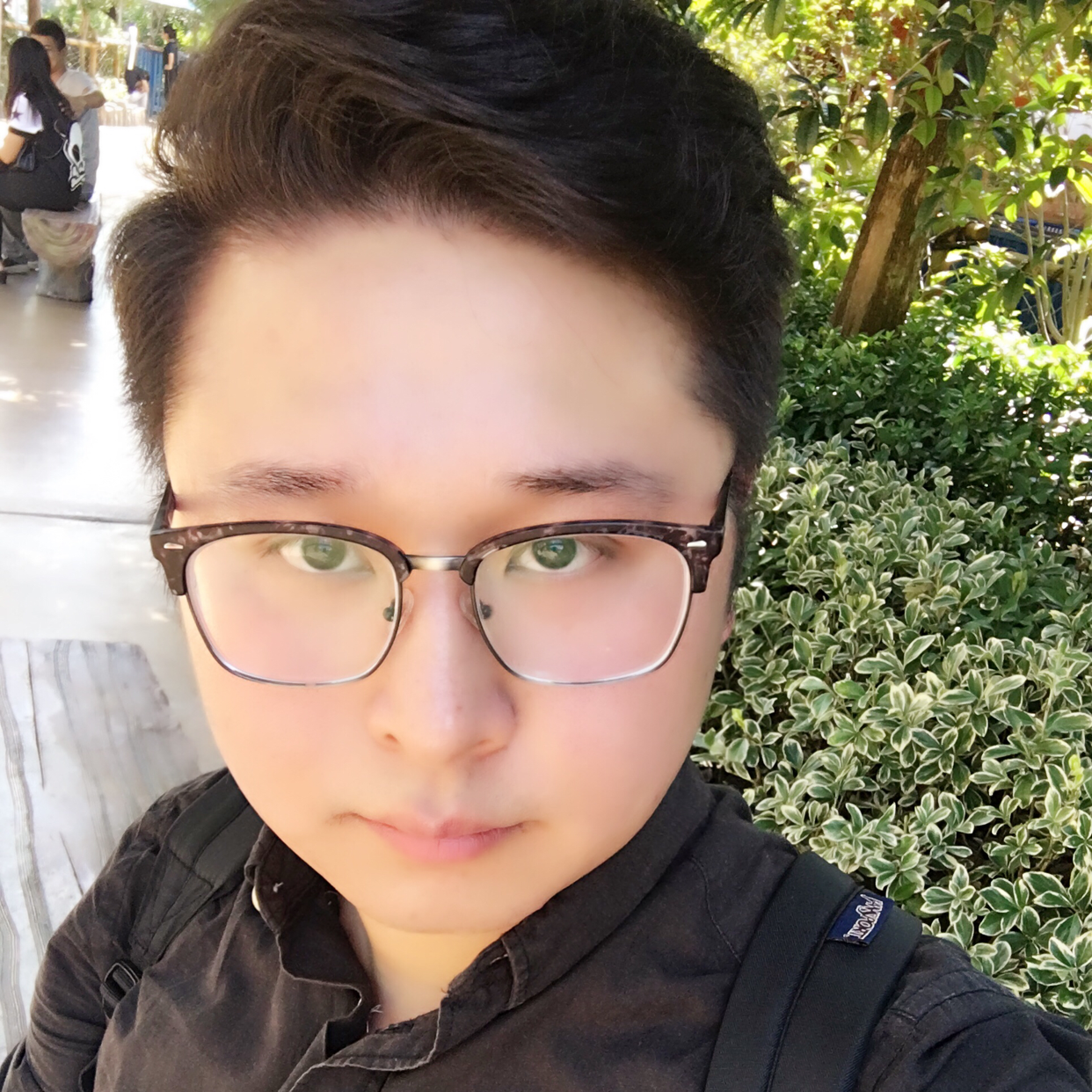 氟西汀1的照片