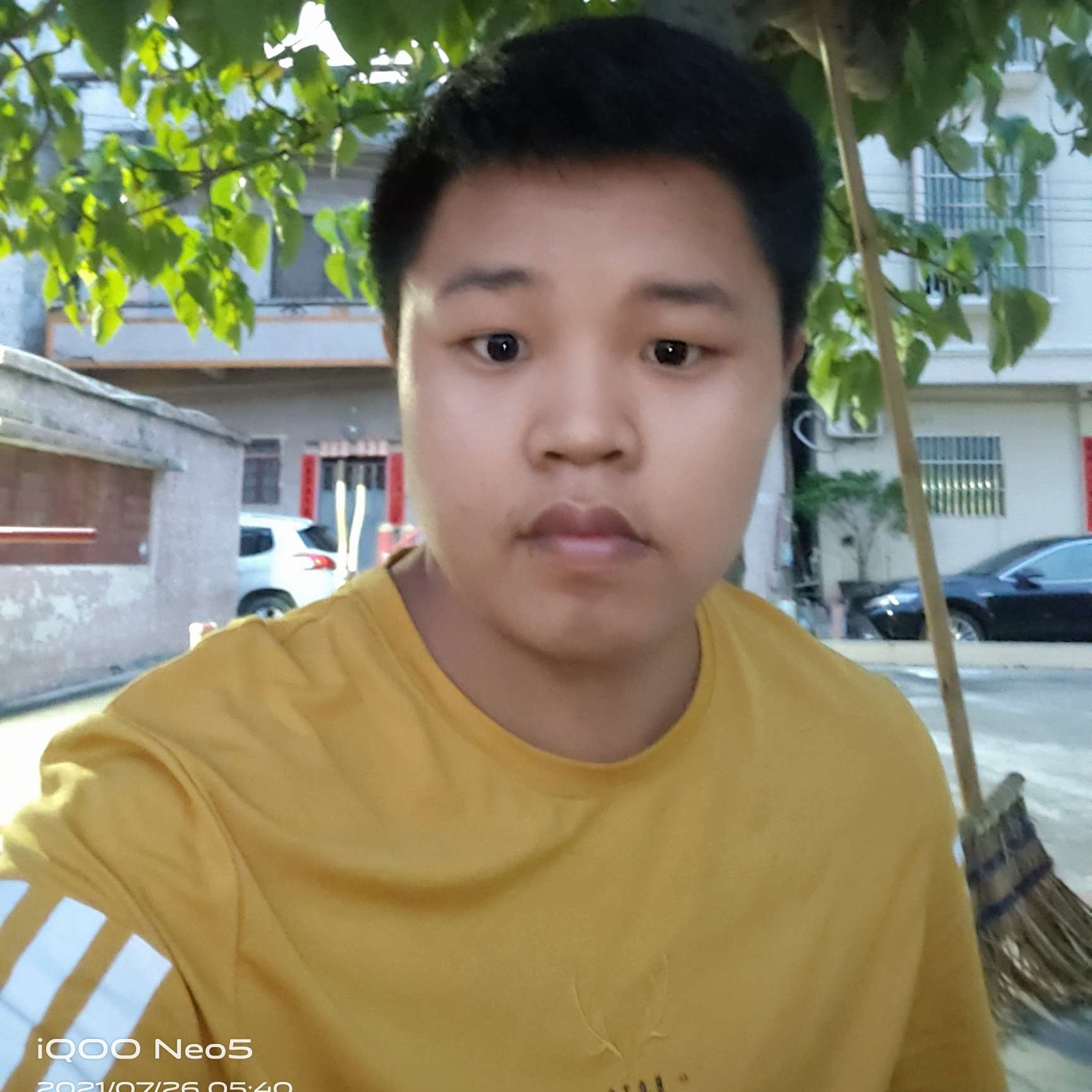 刺猬爱恋光亮的照片