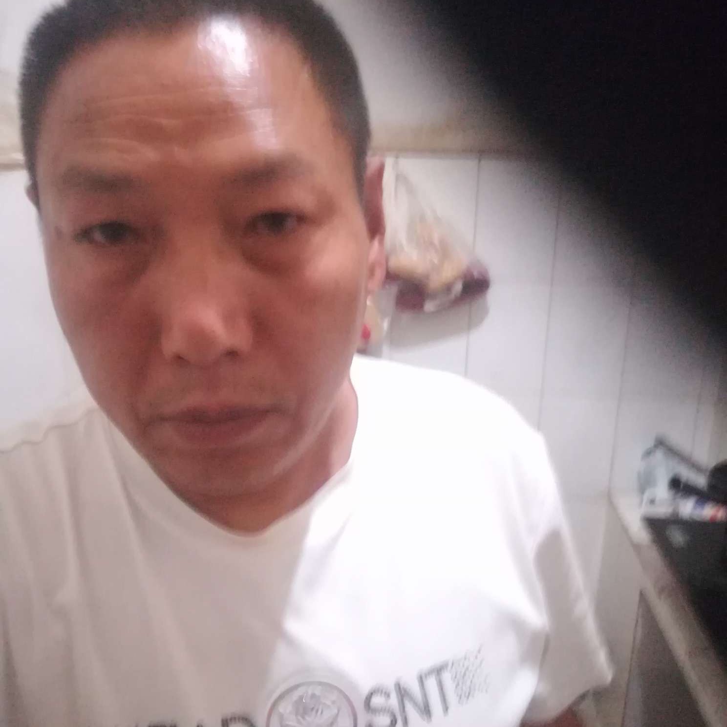 绿草相许寂冷的照片
