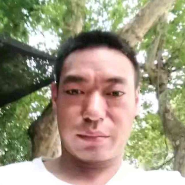 黯然方羽毛的照片