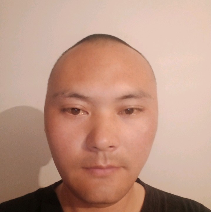 风速飞龙的照片