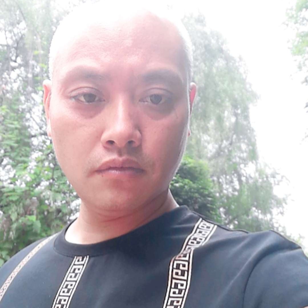 故意给大象的照片