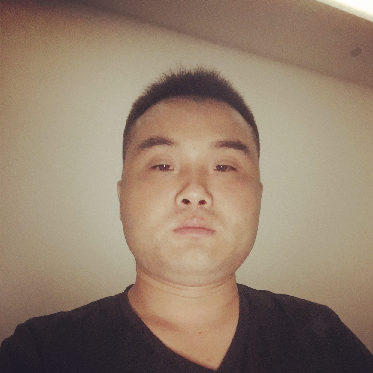 板凳蹁跹机智的照片