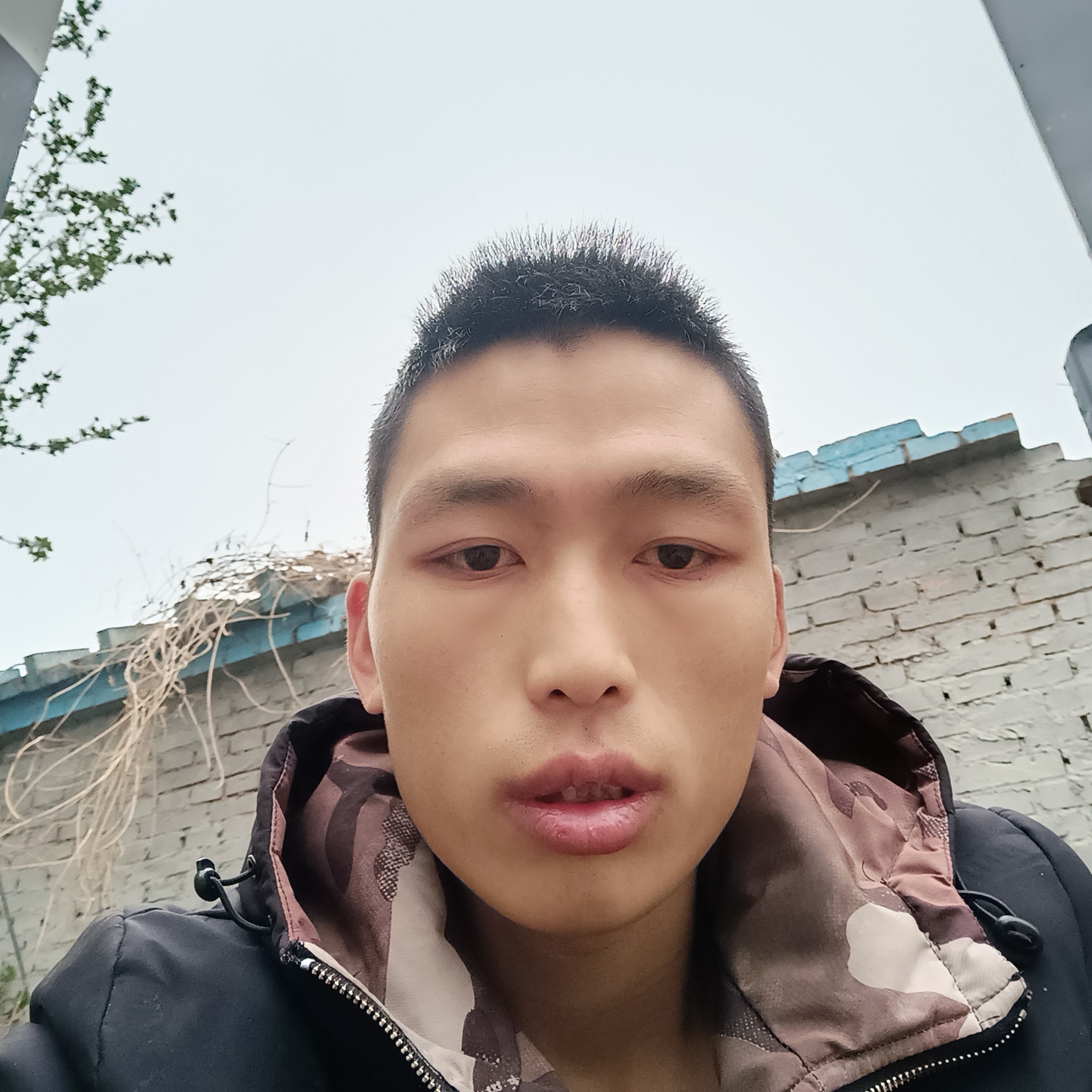 会员272584392的照片