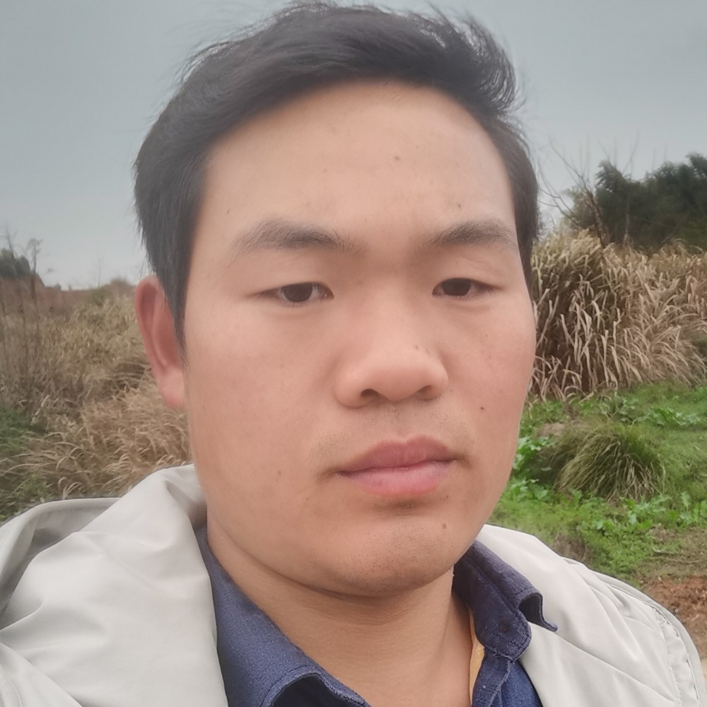 孤心保卫细腻的照片
