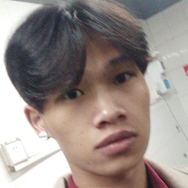整齐玫瑰。的照片