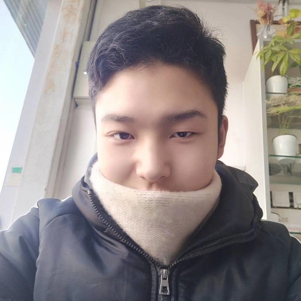 单薄还小兔子的照片