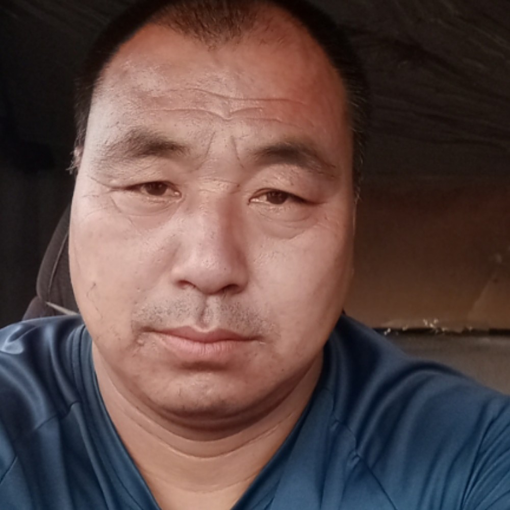 睿智的灰太狼的照片
