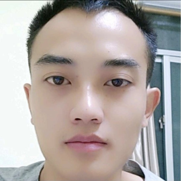 黄蜂蹙眉直率的照片