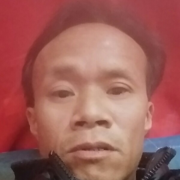 机灵拾忆砖头的照片