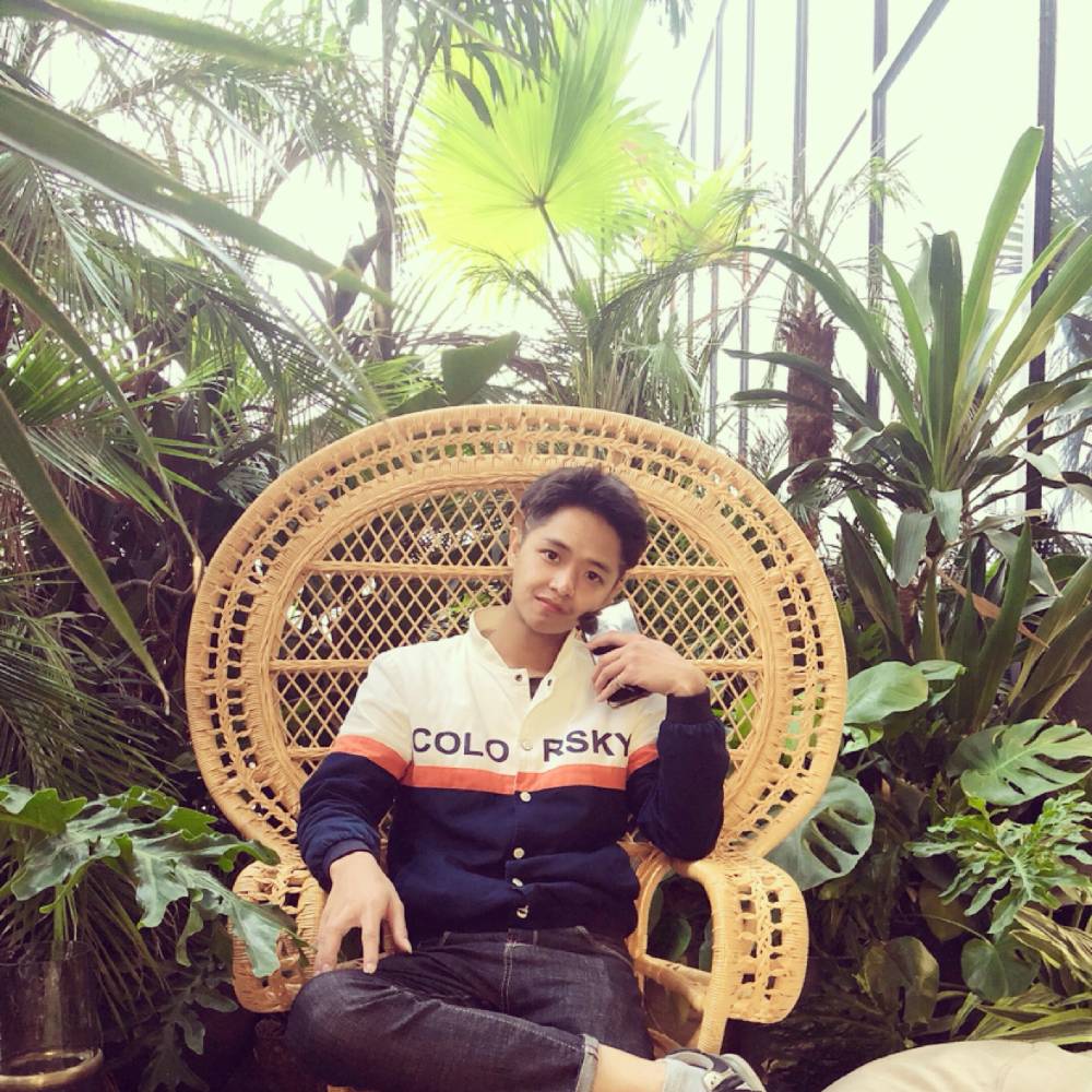 沉默凝眸羊的照片