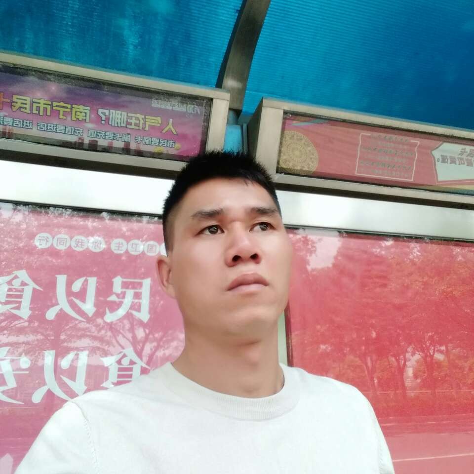 流岚漫步自由的照片