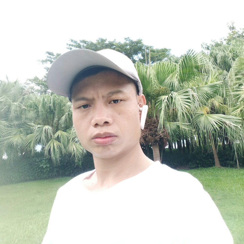 蜜蜂蹙眉沉静的照片