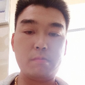 和谐枫叶的照片