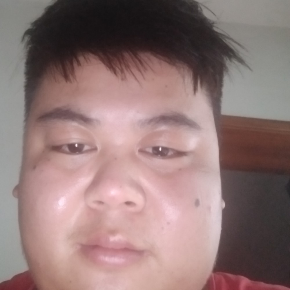 小刺猬落寂的照片