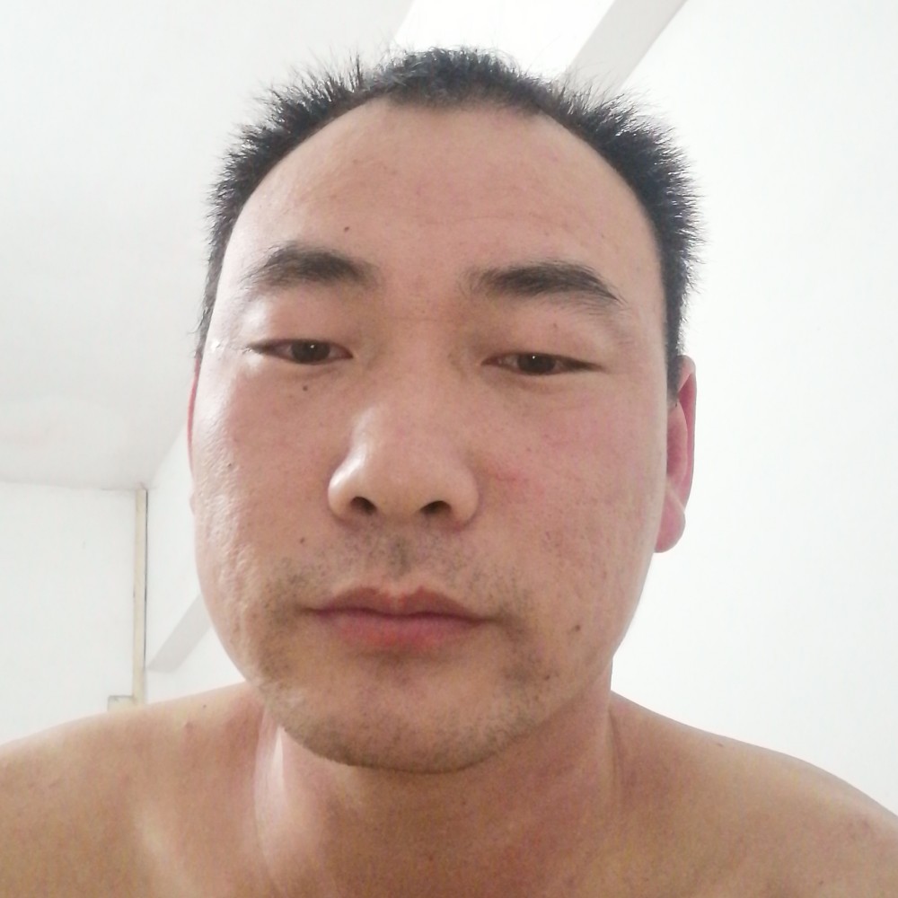 顺其自然松的照片