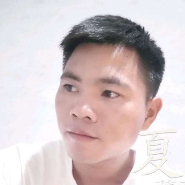 小白菜包容的照片