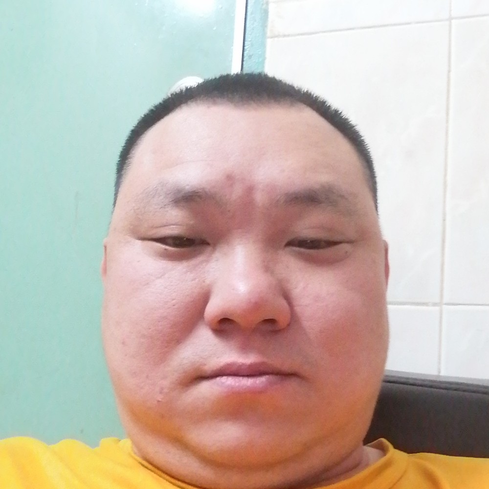 灰狼那怕孤独的照片